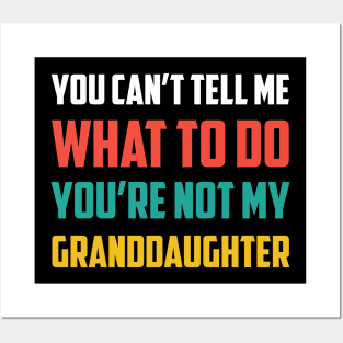 Father's day you can't tell me what to do Funny Grandfather Posters and Art